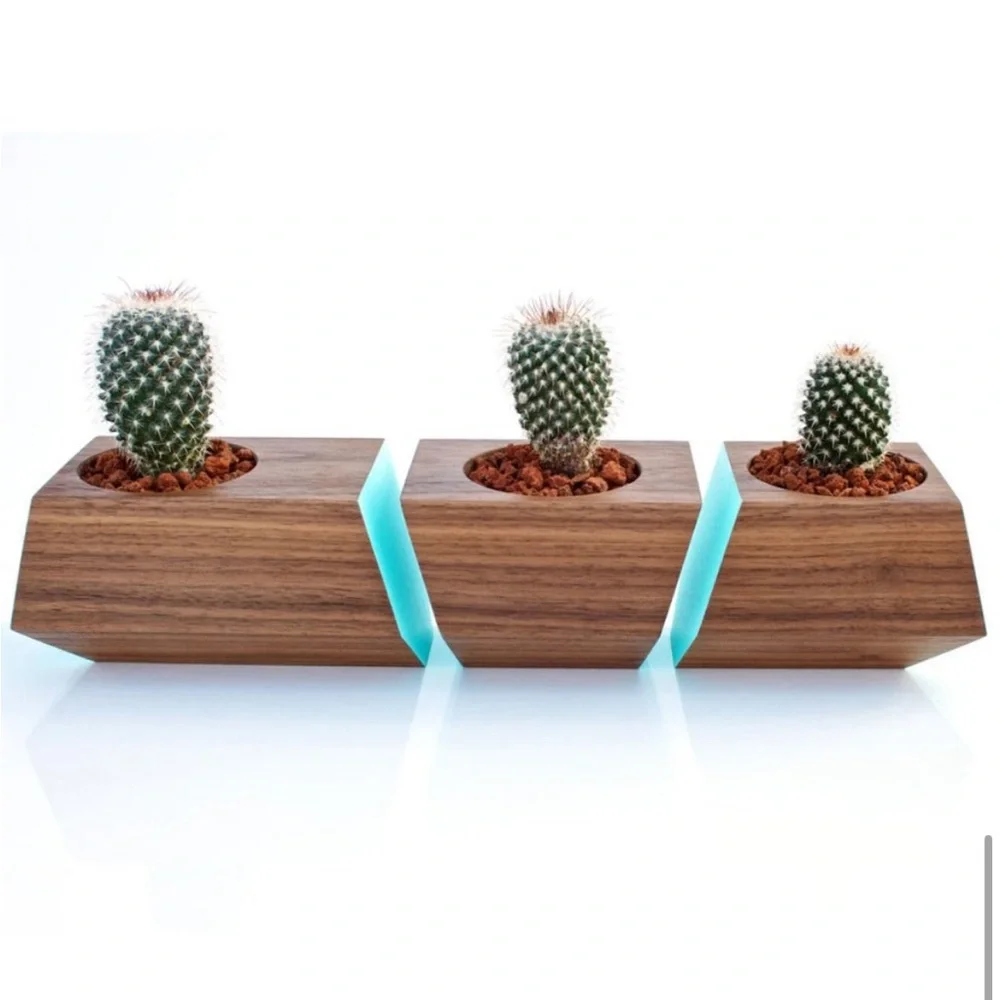 Revolution Design House Revolution Boxcar  Succulent  Planter - Picture 2 of 8